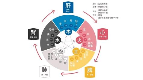 綠色五行|五行